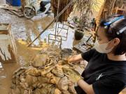 Chủ tiệm muốn ngất vì mất bạc tỷ, tan hoang sau lũ: Tôi sẽ làm lại từ con số âm