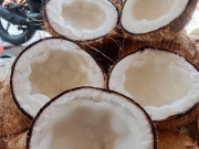 Sức khỏe - Loại quả ở Việt Nam xưa ít ai ngó ngàng, nay thành đặc sản sang nước ngoài giá 600.000 đồng/trái, tốt cho sức khoẻ