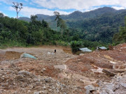 Tin tức - Mưa lớn ở Đà Nẵng: Nỗ lực liên lạc với 600 hộ dân Trà Leng