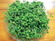 Loại quả xưa chín rụng chỉ dành cho "người nghèo",  nay thành đặc sản nổi tiếng được ưa chuộng, 70.000 đồng/kg