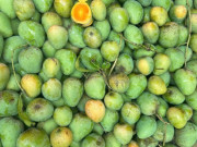 Sức khỏe - Loại quả xưa rụng đầy "người nghèo" ăn đến chán ngán, nay thành đặc sản ở thành phố giá 50.000 đồng/kg, tốt cho sức khỏe