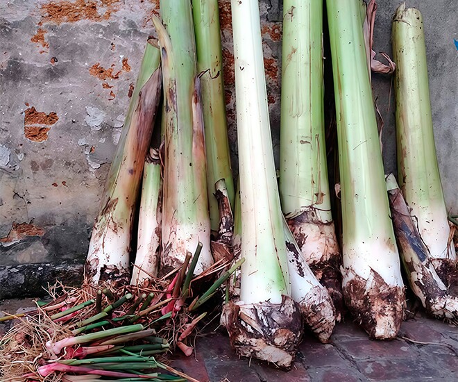 Món amp;#34;nhà nghèoamp;#34; xưa ăn đến chán ngán, nay thành đặc sản khoái khẩu trong nhà hàng, được người thành phố ưa chuộng - 1