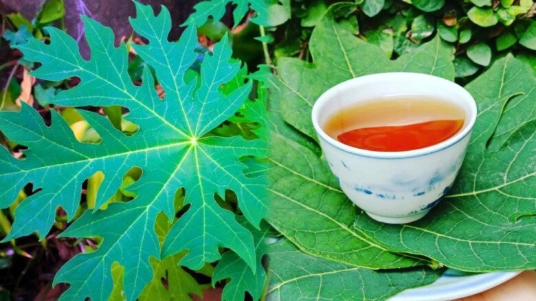 Món xưa dành cho amp;#34;người nghèoamp;#34;, nay thành đặc sản làm đủ món ngon được ưa chuộng, tốt cho sức khỏe - 4