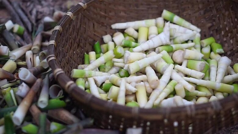 Món xưa amp;#34;người nghèoamp;#34; ăn đến chán ngán, nay thành đặc sản ở thành phố làm đủ món ngon, tốt cho sức khỏe - 4