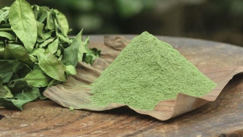 Nghề lạ ở Việt Nam: Cây dại mọc bờ rào dân mang về trồng một lần thu hoạch nhiều năm, hái lá bán đều tay, thành đặc sản lạ - 7