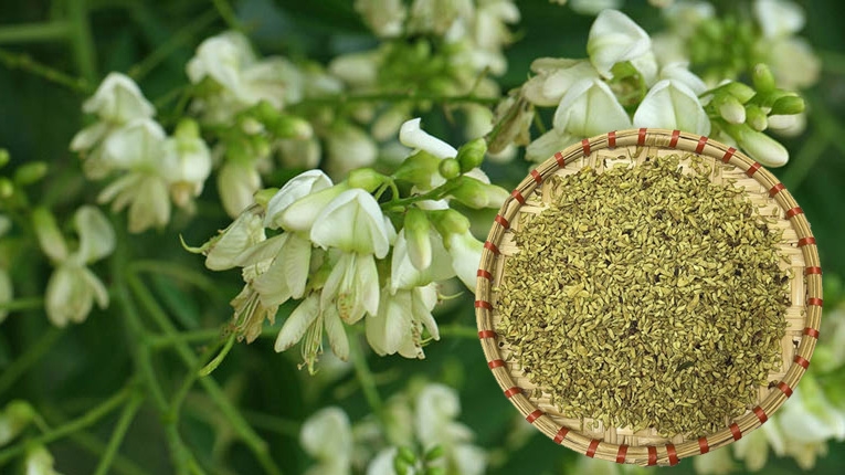 Nghề lạ ở Việt Nam: Cây dại mọc bờ rào dân trồng một lần thu hoạch nhiều năm, hái hoa bán quanh năm, thành đặc sản nổi tiếng - 2