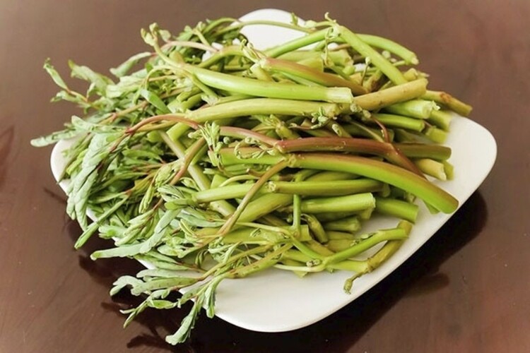 Nghề lạ ở Việt Nam: Cây rau dại mọc ở bờ mương dân trồng bán quanh năm, chỉ 1 tháng là thu hoạch, thành đặc sản lạ - 2