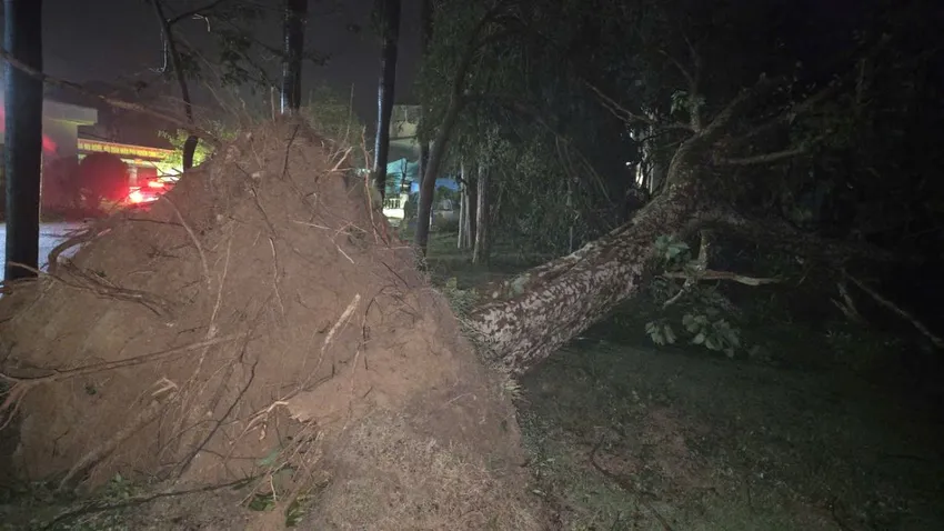 Bão số 13 gây nhiều thiệt hại, hàng trăm cuộc gọi cầu cứu, chính quyền túc trực xuyên đêm ứng phó - 31