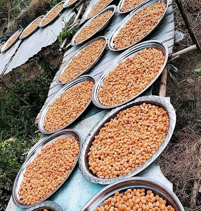 Thứ xưa dành cho người nghèo, nay thành đặc sản ở thành phố có hương vị lạ giá 150.000 đồng/kg, tốt cho sức khoẻ - 3