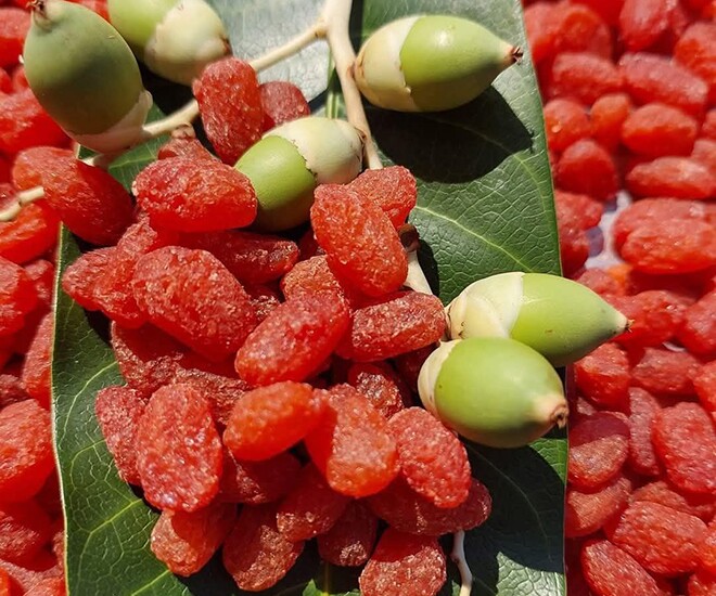 Thứ xưa dành cho người nghèo, nay thành đặc sản ở thành phố có hương vị lạ giá 150.000 đồng/kg, tốt cho sức khoẻ - 1