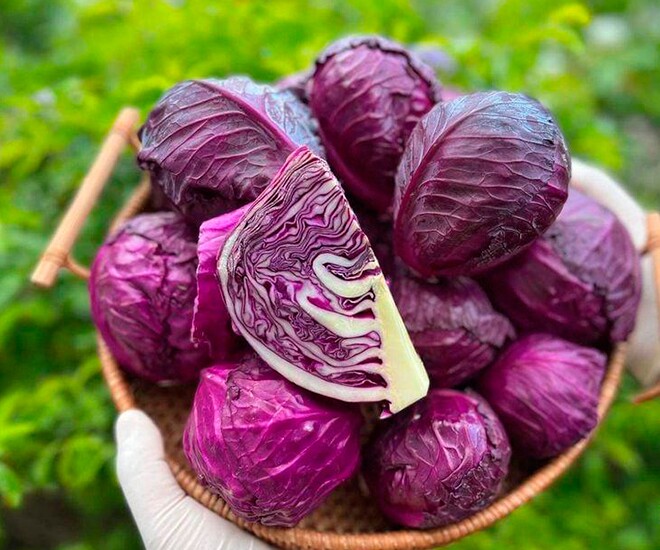 Thứ xưa không ai biết đến, nay thành đặc sản dân thành phố ưa chuộng giá 55.000 đồng/kg, tốt cho sức khỏe  - 1