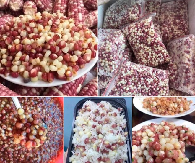 Món xưa amp;#34;nhà nghèoamp;#34; ăn đến chán ngán, nay làm đủ món ngon thành đặc sản được ưa chuộng, 60.000 đồng/kg - 1