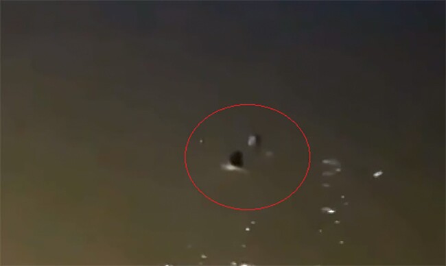 Người đàn ông vô danh lao xuống sông cứu sống phụ nữ nhảy cầu. Ảnh người dân cũng cấp