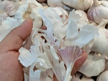 Công dụng bất ngờ của vỏ tỏi trong cuộc sống hàng ngày, ai biết rồi liền vội đi gom vỏ tỏi