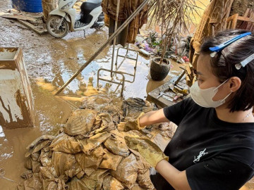 Chủ tiệm muốn ngất vì mất bạc tỷ, tan hoang sau lũ: Tôi sẽ làm lại từ con số âm