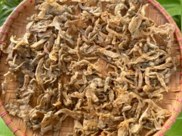 Loài chui lên từ bùn cát nhìn "sợ khiếp vía", dân bắt về phơi khô bán 5 triệu đồng/kg, thành đặc sản vừa ngon vừa quý hiếm