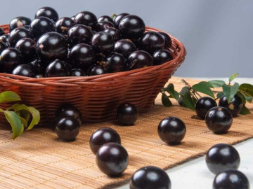 Loại quả xưa không ai biết đến, nay thành đặc sản được ưa chuộng vì hương vị lạ giá 250.000 đồng/kg,...