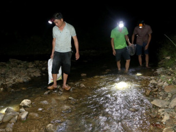 Thấy xe đẩy em bé bên đường lúc nửa đêm, người phụ nữ cảnh báo không được  xuống xem