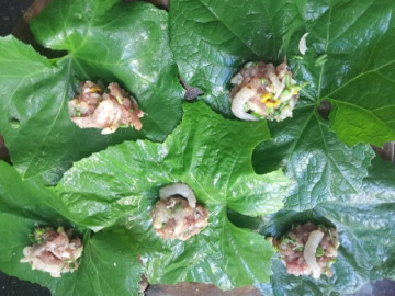 Món xưa nhà nghèo mới ăn, nay thành đặc sản làm đủ món ngon được ưa chuộng, tốt cho sức khỏe