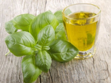 8 lợi ích sức khỏe nổi bật từ trà húng quế