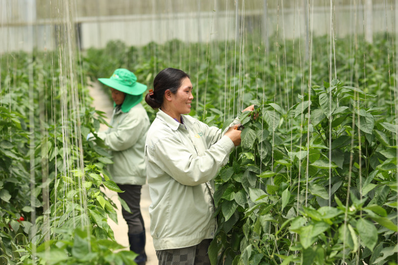 10 năm trao vị lành cho triệu bữa ăn ngon - 2