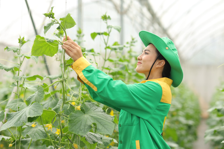 10 năm trao vị lành cho triệu bữa ăn ngon - 4