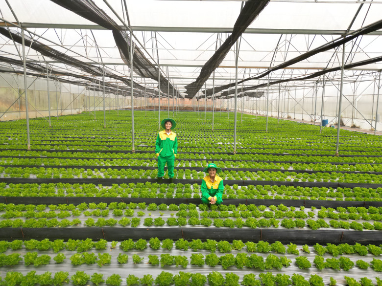 10 năm trao vị lành cho triệu bữa ăn ngon - 3