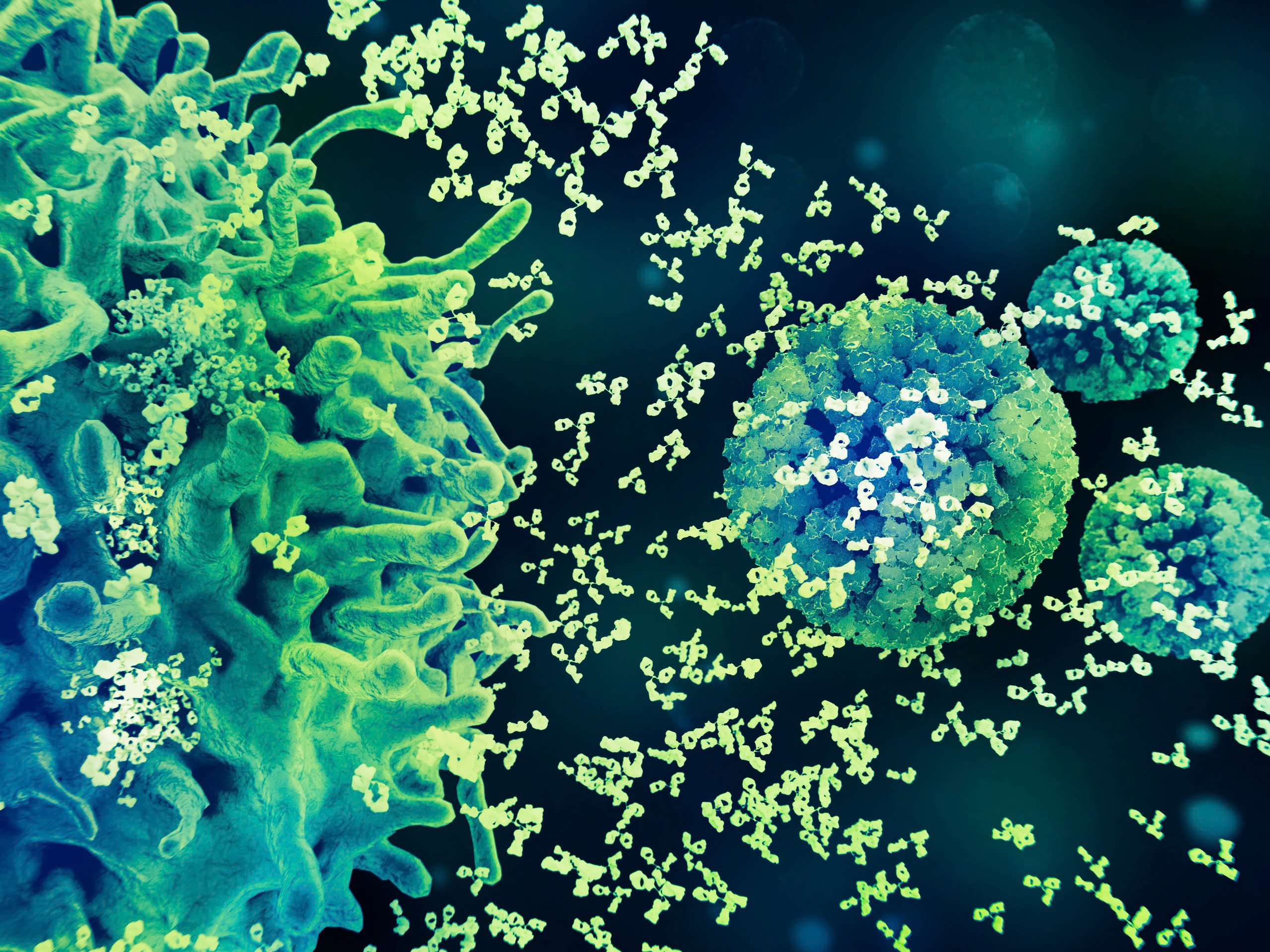 Virus HPV. Nguồn Science Visuals