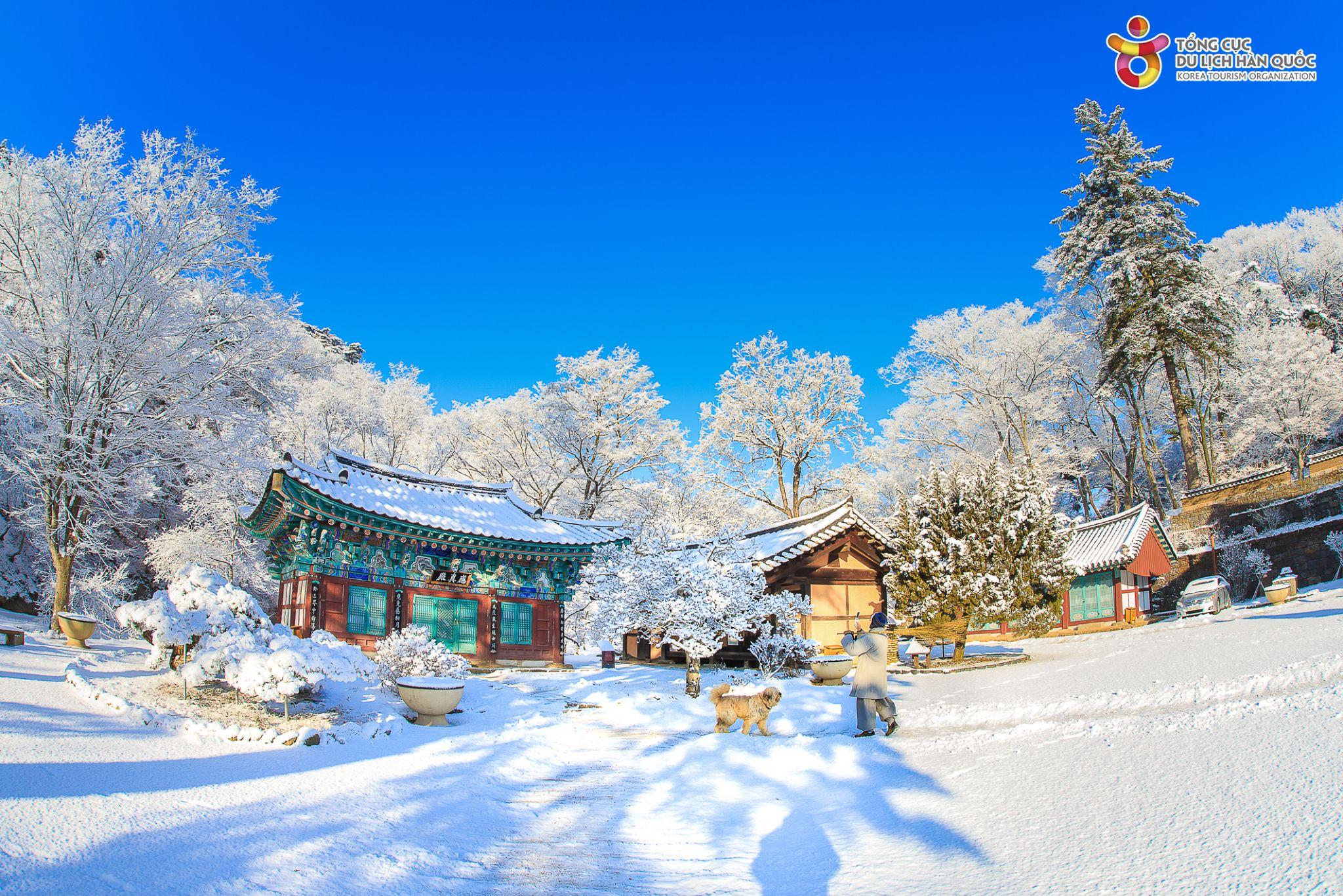 Hàn Quốc: Hành trình gắn kết yêu thương 3 thế hệ - 2