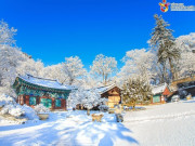 Lifestyle - Hàn Quốc: Hành trình gắn kết yêu thương 3 thế hệ