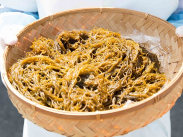 Món quà quý từ thiên nhiên cho sức khỏe