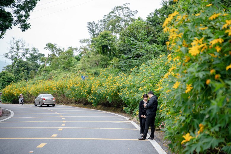 Hoa Dã Quỳ Nở Rộ Vàng Tươi Cả Một Góc Trời Ở Vườn Quốc Gia Ba Vì. (Nguồn Ảnh: Vườn Quốc Gia Ba Vì)