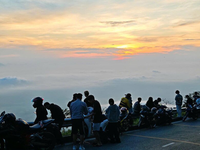 Chỉ Cách Hà Nội 60Km, Ở Ba Vì Có Một Cánh Đồng Hoa Vàng Tươi Được Giới Trẻ Rủ Nhau Đến Check-In Sống Ảo Ngoài Hoạt Động Check-In Với Hoa Dã Quỳ, Du Khách Có Kết Hợp Với Tham Quan Các Địa Điểm Nổi Tiếng, Săn Mây Hay Cắm Trại Qua Đêm Tại Vườn Quốc Gia Ba Vì. (Nguồn Ảnh: Vườn Quốc Gia Ba Vì)
