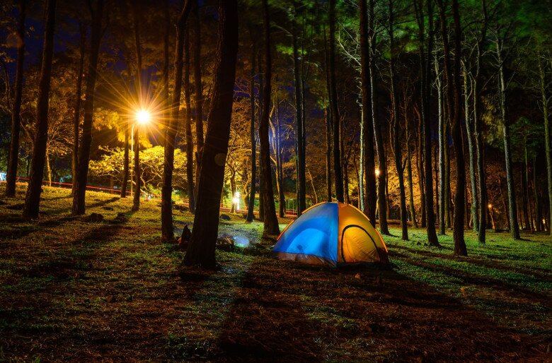 Chỉ Cách Hà Nội 60Km, Ở Ba Vì Có Một Cánh Đồng Hoa Vàng Tươi Được Giới Trẻ Rủ Nhau Đến Check-In Sống Ảo Chỉ Cách Hà Nội 60Km, Ở Ba Vì Có Một Cánh Đồng Hoa Vàng Tươi Được Giới Trẻ Rủ Nhau Đến Check-In Amp;#34;Sống Ảoamp;#34; - 5