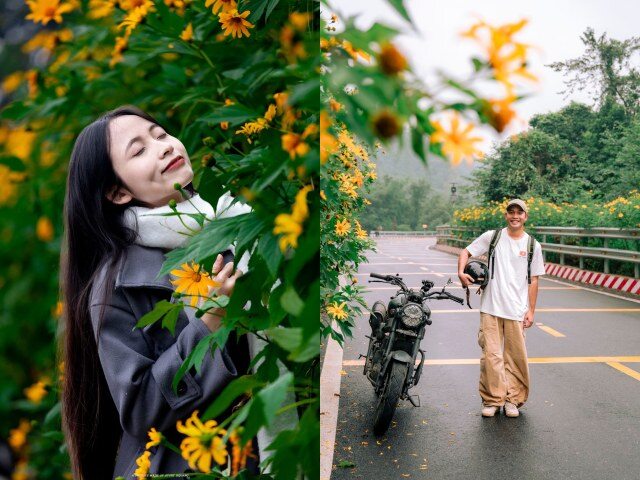 Chỉ Cách Hà Nội 60Km, Ở Ba Vì Có Một Cánh Đồng Hoa Vàng Tươi Được Giới Trẻ Rủ Nhau Đến Check-In Sống Ảo Những Bức Ảnh Sống Ảo Với Hoa Dã Quỳ Lung Linh Nhanh Chóng Phủ Kín Mạng Xã Hội, Khiến Nơi Đây Càng Trở Nên Hot Hơn Bao Giờ Hết. (Nguồn Ảnh: Vườn Quốc Gia Ba Vì - Blog Của Rọt)