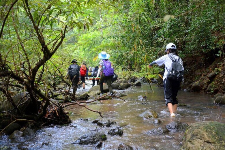 Cách Tp.hcm 3 Tiếng Đi Xe, Giới Trẻ Mê Mẩn Trekking Ở Nơi Đẹp Như Vườn Cổ Tích”, Thưởng Thức Đặc Sản Có 1-0-2 Cách Tp.hcm 3 Tiếng Đi Xe, Giới Trẻ Mê Mẩn Trekking Ở Nơi Đẹp Như Amp;#34;Vườn Cổ Tích”, Thưởng Thức Đặc Sản Có 1-0-2 - 3