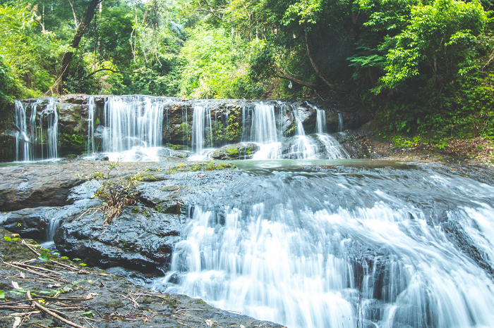 Cách Tp.hcm 3 Tiếng Đi Xe, Giới Trẻ Mê Mẩn Trekking Ở Nơi Đẹp Như Vườn Cổ Tích”, Thưởng Thức Đặc Sản Có 1-0-2 Đến Bù Gia Mập, Du Khách Sẽ Được Hoà Mình Với Thiên Nhiên Bởi Những Những Tán Cây Cổ Thụ Cùng Suối Chảy Róc Rách.