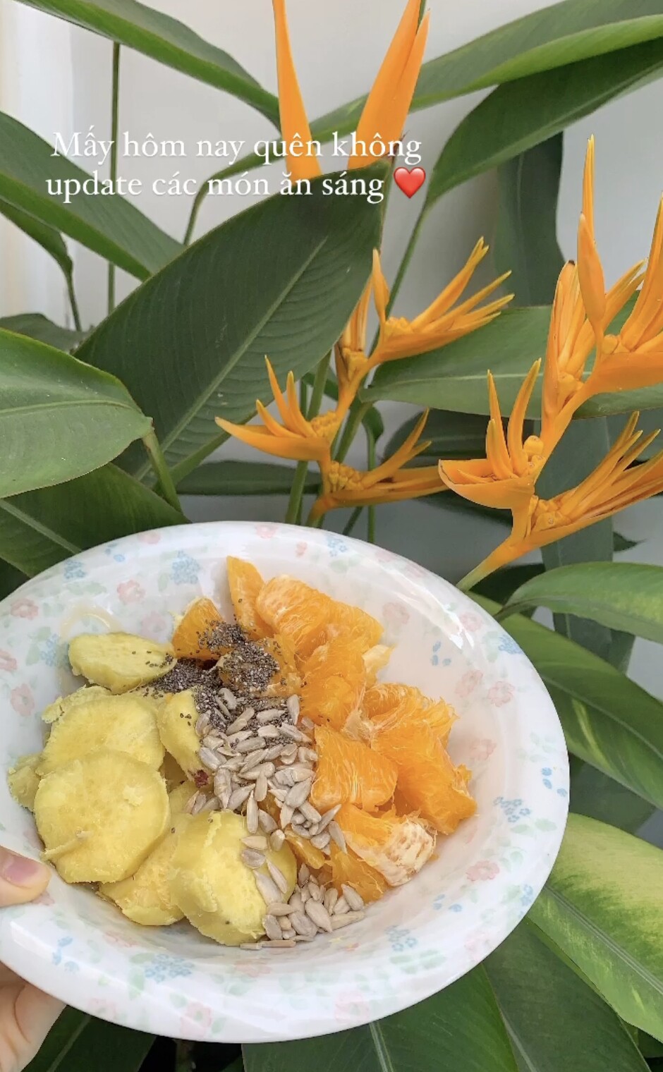 Khoai lang giúp no lâu, ổn định đường huyết và hạn chế cảm giác thèm đồ ngọt. Nhờ giàu chất xơ, vitamin A và chất chống oxy hóa, khoai lang hỗ trợ làm sáng da, giảm viêm và tăng đàn hồi. Đây là lựa chọn tinh bột tốt giúp Phương Khánh giữ dáng nhẹ nhàng mỗi sáng.