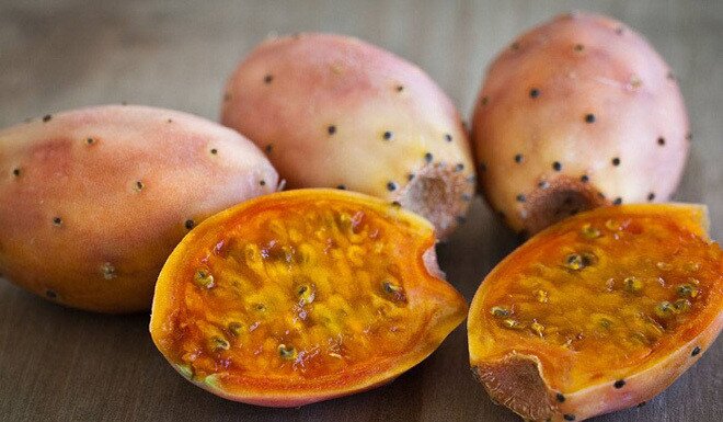 Loại quả trên cây gai góc người Việt ít để ý tới lại được bán ở siêu thị nước ngoài, chứa nhiều chất tốt cho sức khỏe - 4