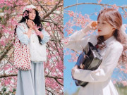 Lifestyle - Đà Lạt "ngập tràn" màu hồng của hoa mai anh đào: Gợi ý cho hội mê "sống ảo" 3 địa điểm check-in đang cực hot