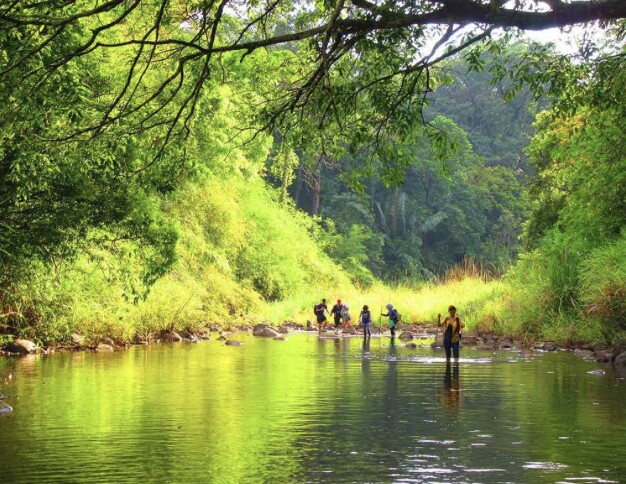 Vườn Quốc gia Bù Gia Mập tại Đồng Nai đang là địa điểm trekking được giới trẻ yêu thích.