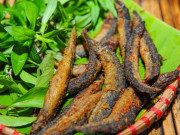 Sức khỏe - Loại cá ở quê được ví như “nhân sâm dưới nước”, giúp dưỡng thận, sáng mắt, tốt cho não và tim