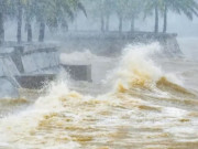 Tin tức - Tin tức 24h: Bão số 12 sẽ đổ bộ Đà Nẵng - Quảng Ngãi, lượng mưa rất lớn 500–700 mm