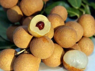 Sức khỏe - 5 nhóm thực phẩm là “thần dược giá bình dân”, bồi bổ khí huyết giúp phụ nữ đẹp da, sống thọ