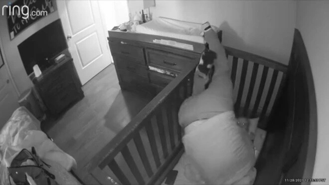 Nguồn: New York Post