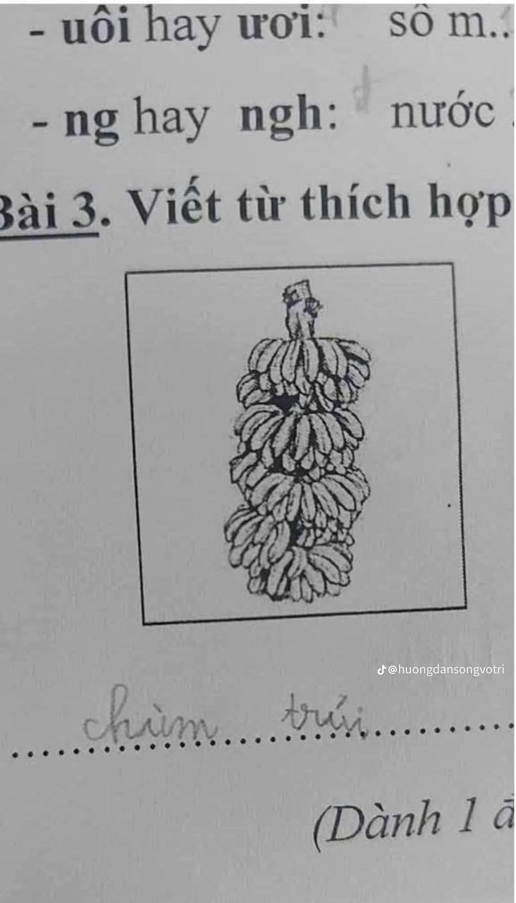 Cô giáo giao bài tập tiếng Việt điền từ, học sinh lớp 1 đưa ra loạt đáp án khiến cộng đồng mạng xôn xao - 2