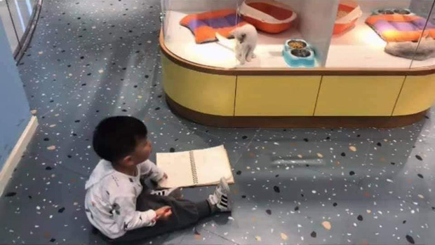 Cô giáo giao bài tập về nhà vẽ tranh thú cưng, tác phẩm của cậu học sinh khiến giáo viên hoang mang, khó chấm điểm - 1