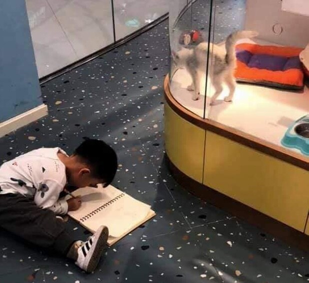 Cô giáo giao bài tập về nhà vẽ tranh thú cưng, tác phẩm của cậu học sinh khiến giáo viên hoang mang, khó chấm điểm - 2