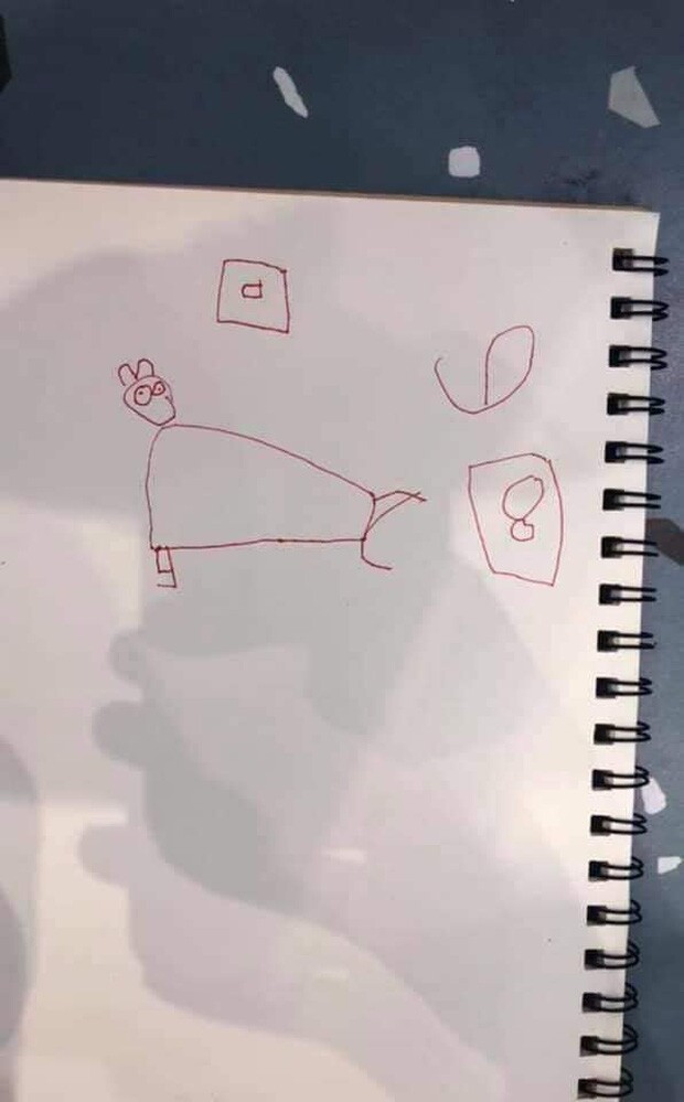 Cô giáo giao bài tập về nhà vẽ tranh thú cưng, tác phẩm của cậu học sinh khiến giáo viên hoang mang, khó chấm điểm - 4