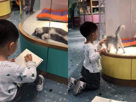 Cô giáo giao bài tập về nhà vẽ tranh thú cưng, tác phẩm của cậu học sinh khiến giáo viên hoang mang, khó chấm điểm